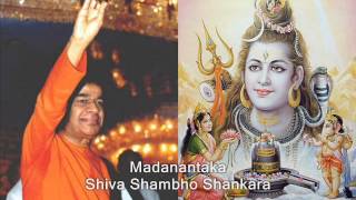 Mahadeva Shiva Shambho Shankara  Sai Shiva Bhajan Students [upl. by Algar]