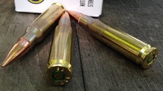 762x51mm 147gr FMJ M80 Ball ZQi Ammo Velocity Test M1A [upl. by Teyugn]