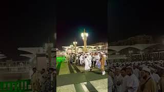 Live Zeyarat Roza e Rasool ya nabi salam o Alaikavirel SubhanAllahwattasappstatus masjid nabvi [upl. by Altheta]