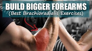 Build Bigger Forearms Best Brachioradialis Exercises [upl. by Neva302]