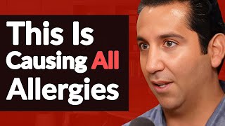 The ROOT CAUSES Of Allergies Why They Get WORSE amp How To Get Rid Of Them  Dr Elroy Vojdani [upl. by Lled]