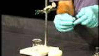 Organic Chemistry Lab Demo Isolation of Limonene part 2 [upl. by Doug342]