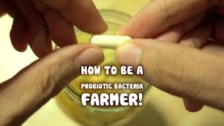 Growing your own Probiotic Bacteria fruit ferment [upl. by Hoshi]