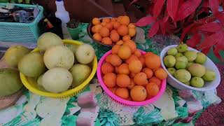 Midwinter Melbourne Citrus Harvest amp Tidy Up [upl. by Elleynod]