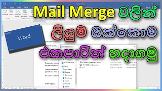 Create multiple letters using mail merge  Word Document වල mail merge ගැන දැනගනිමු  Sinhala [upl. by Gelya]