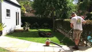 Lawn Mowing Line Trimming Leaf Blowing Pittwater Mowing [upl. by Einhoj]