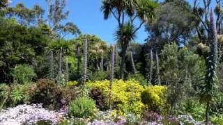 Isles of Scilly Landscape and Nature [upl. by Yesnikcm962]