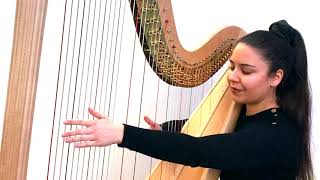 Hasselmans  Feuilles DAutomne Serenade Mélancolique Op45  Harp Zita Silva [upl. by Tiemroth]