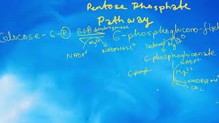 PHOSPHOPENTOSE PATHWAY made EASY [upl. by Leiand]