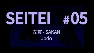 【制定型】左貫（杖道） SeiteiSakanJodo [upl. by Michaud]