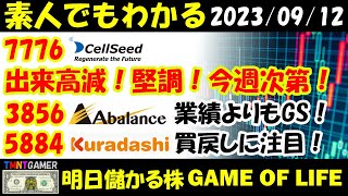 【明日儲かる株】7776 セルシード！出来高減り！堅調！様子見！3856 Abalance！株は業績よりも機関次第！5884 クラダシ！機関一斉売り！機関操作相場へ！買戻しに注目！【20230912】 [upl. by Azpurua667]