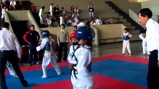 taekwondo combate niños 10 años [upl. by Bald46]