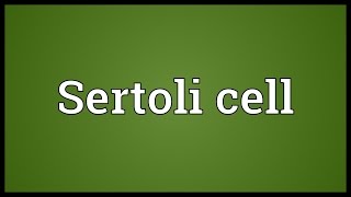 Sertoli cell Meaning [upl. by Hogle672]