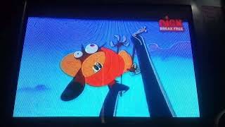 Zig and Sharko Crusing video in bangla [upl. by Tannenbaum]