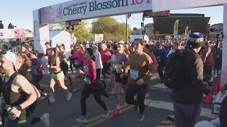 DCs Annual Cherry Blossom 10miler [upl. by Ahsineg]