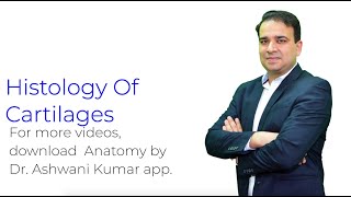 Histology of Cartilages  Anatomy Videos by Dr Ashwani Kumar [upl. by Haneekas]