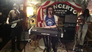 Triptides live  Concerto Record store 2652017 [upl. by Saticilef]