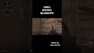 New Dust 2 Wallbang 2024 [upl. by Dorkas]