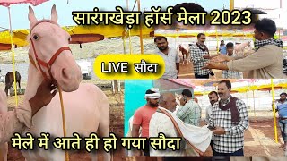 घोड़ा नहीं पंजाब का शेर है  live सौदा  chetak festival sarangkheda 2023  horse mela sarangkheda [upl. by Renba]