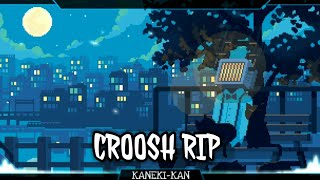 croosh ripaudio مترجم [upl. by Palestine917]