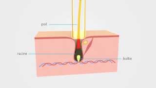 Epilium Epilation Laser  Principe et explication [upl. by Eerej]