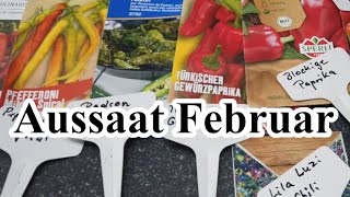 Paprika amp co aussäen  Aussaat Februar  Aussaattipps  Jungpflanzen vorziehen für die Gartensaison [upl. by Aamsa]