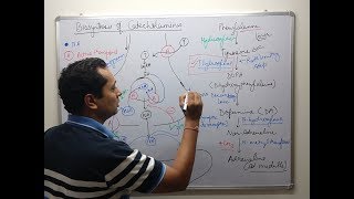 Adrenergic Pharmacology Part 1 [upl. by Balthazar]