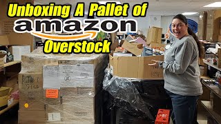 Unboxing a pallet of Unmanifested Amazon Overstock that i paid 700000 for 6 of them [upl. by Ycal]