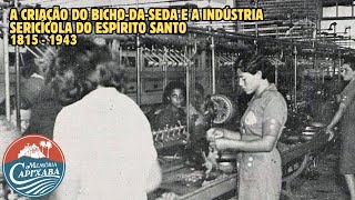 A Criação do bichodaseda e a Indústria Sericícola do Espírito Santo 1815  1943 [upl. by Ahmar]