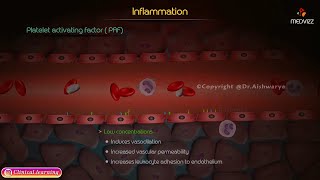 Cyclooxygenase COX  Inflammation  Pathology [upl. by Ahsan564]