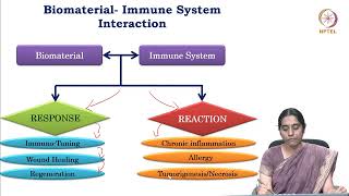 Protein mediated biomaterials [upl. by Lomasi769]