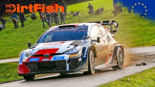 Best of WRC Central European Rally 2023  Crashes Action and Raw Sound [upl. by Annadroj]