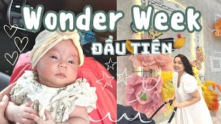 Cách Xử Lý Wonder Week Của Ba Mẹ Đã Có Kinh Nghiệm🤭Wonder Week Đầu Tiên Của Em Bé❤️ TrinhPhamFamily [upl. by Allimaj377]