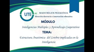 Estructuras anatómicas del cerebro implicadas en la inteligencia [upl. by Ahsian]