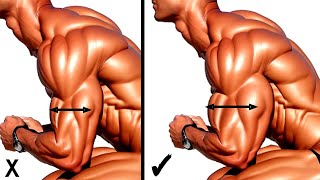 Best Workouts For Bicep and Tricep to Get Wide Insane Arms [upl. by Hubey]