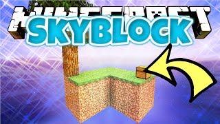 THE OLDEST SKYBLOCK SERVER IN MINECRAFT [upl. by Natividad]