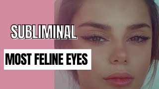 Most feline eyes subliminal [upl. by Harlamert]