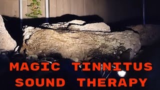 BEST Tinnitus Relief Sound Therapy Treatment  Magic Water Feature Masking [upl. by Adniuqal]