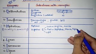 Enzyme classification with subclasses amp examples  Only in 5 minutes  Mnemonics [upl. by Etnovaj]