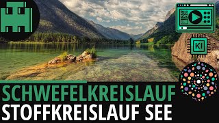 Schwefelkreislauf Stoffkreislauf im See│Biologie LernvideoLearning Level Up KI [upl. by Eissirk]