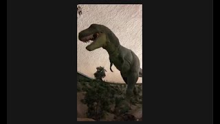 Dome from Home Ep 30  The Sternberg Museums Dinosaurs [upl. by Morita]