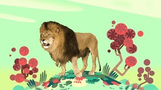 Animal Songs quotYou Gotta Love a Lionquot by StoryBots  Netflix Jr [upl. by Ymled]