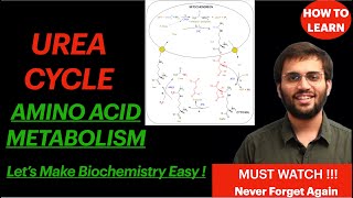 Urea Cycle Amino Acid Metabolism Biochemistry Video Mnemonic and Concepts  Revise Biochemistry [upl. by Ecallaw136]