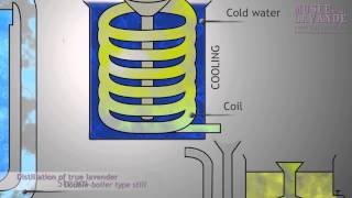 True Lavender  distillation scheme animated [upl. by Arber]