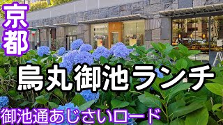 【京都ランチ】【京都あじさい】を眺めながら✨15時以降も営業中〜御池通紫陽花が満開✨スイーツも紫陽花モチーフ京都グルメ 京都ランチ 烏丸御池 [upl. by Buseck]