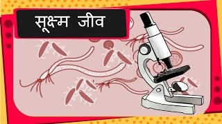 Science  Good and Bad Microbes Diseases  Hindi [upl. by Volney493]