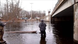 Salmon River NY Steelhead Season 20122013 [upl. by Hazmah]