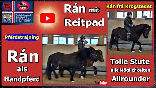 Rán Handpferd Reitpad Isländer Islandpferd Pferdetraining Tipps aus Unterricht Tanja Schienagel [upl. by Abrams651]