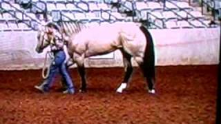 Patch The Buck 2004 Tn Horsefair [upl. by Borer]