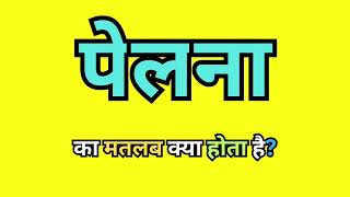 Pelna Meaning In Hindi  Pelna Ka Hindi Matlab kya Hota Hai  Word Meaning  Learn English [upl. by Wenoa385]